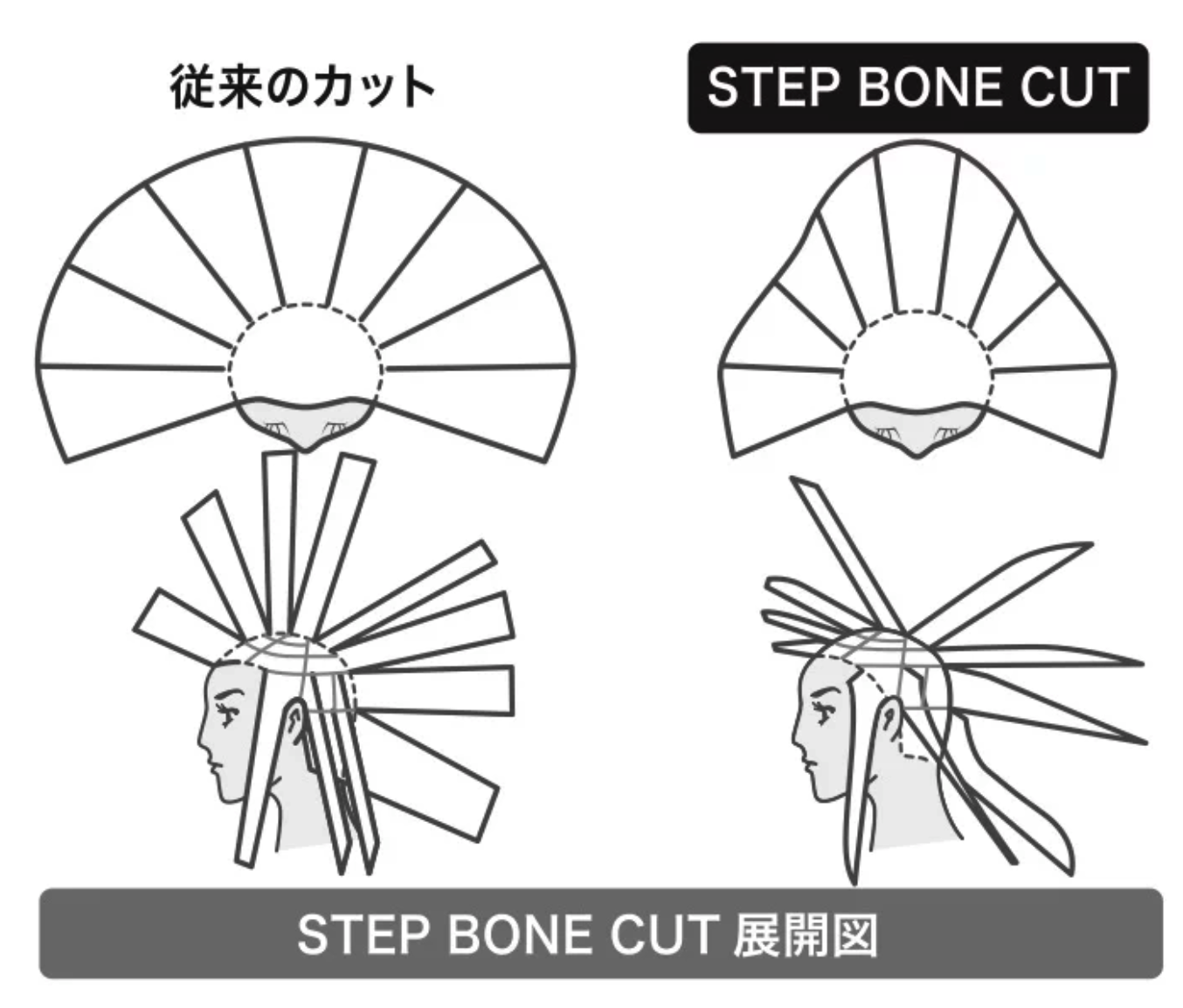 STEP BONE CUT展開図